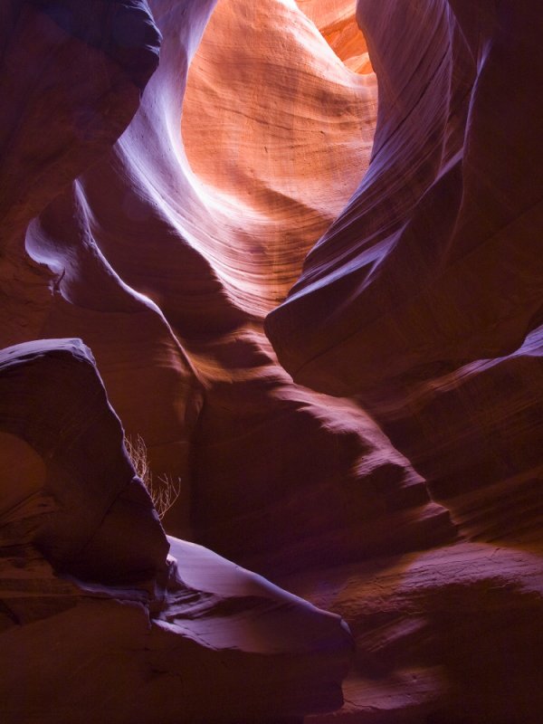 Upper Antelope Canyon - slot canyon - looking toward the top
