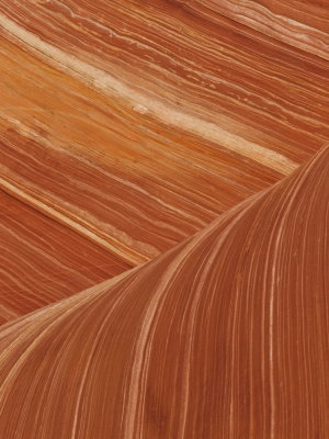 The Wave sandstone formation