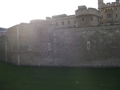 IMG_0461.jpg