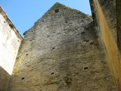 IMG_0317.jpg