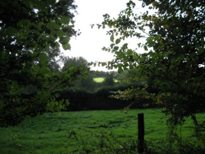 IMG_0368.jpg
