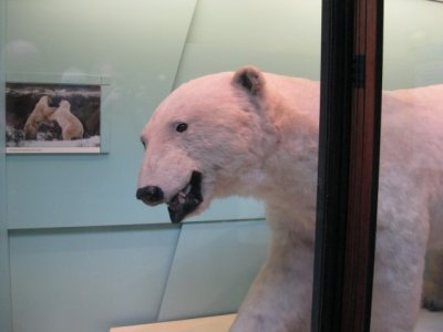 IMG_0533.jpg
