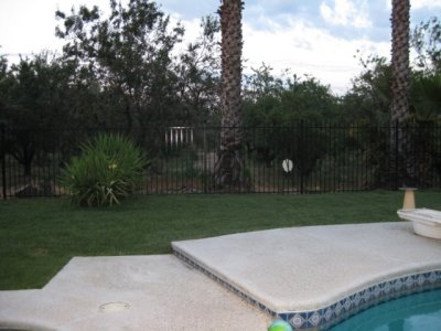IMG_1804.jpg