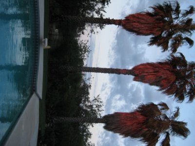 IMG_1805.jpg