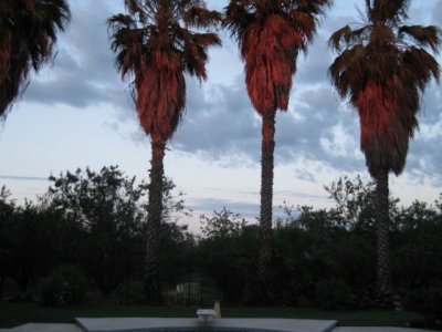 IMG_1806.jpg