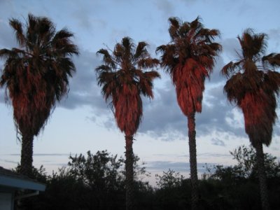 IMG_1807.jpg
