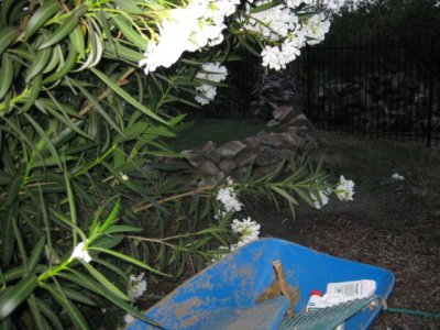 IMG_1808.jpg