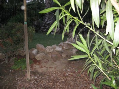 IMG_1809.jpg
