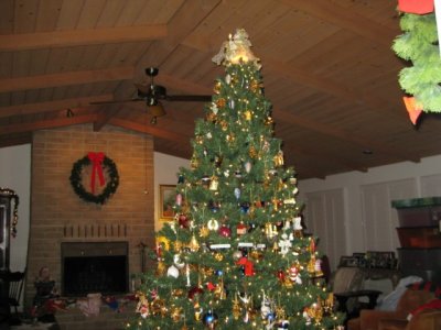 IMG_0754.jpg
