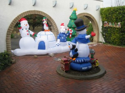 IMG_0815.jpg