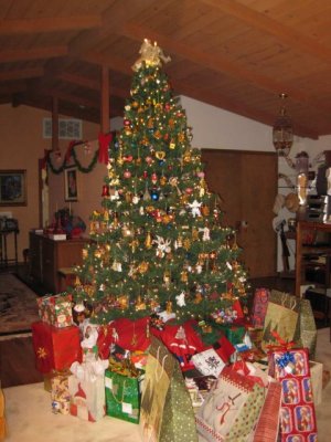 IMG_0862_resize.jpg