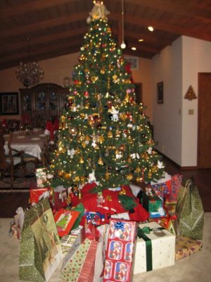 IMG_0883_resize.jpg
