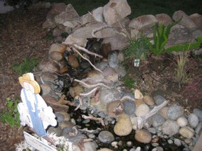 IMG_2185.jpg