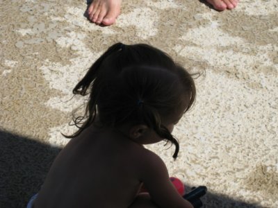 IMG_2085.jpg