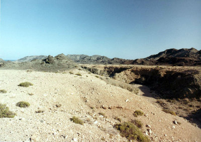 Wadi Masirah island.