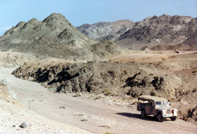 A Wadi on Masirah