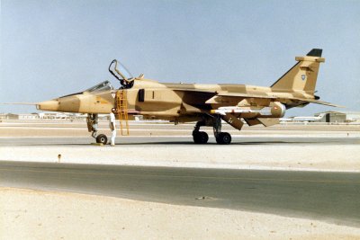 Omani Jaguar