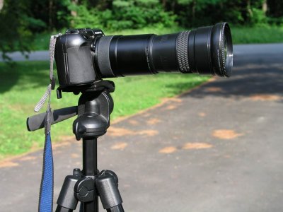 C-8080 with Raynox DCR-2020PRO 2X Telephoto Converter