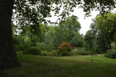 Gardens of Buckingham Palace II