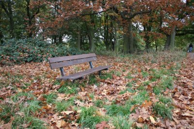Week 109 (10/13-10/19) - Autumnal Hampstead Heath
