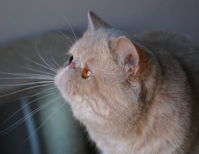 Bit of the profile, he's quite flat