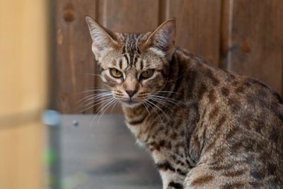 Candy in July 09