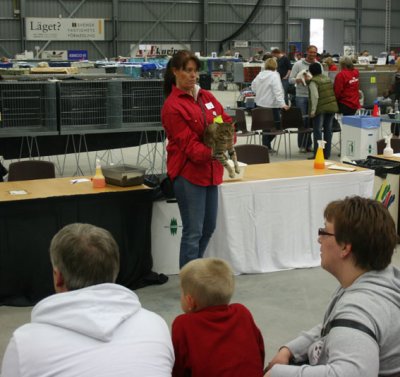 Morritz in the finals..BIS at saturdays show and beaten by the differentiate judges vote on sunday!