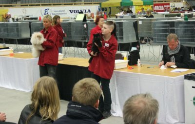 Moms boy Turbo..he was NOM both days and lost on saturdays show to this cremepersian male