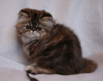 Cutie :)