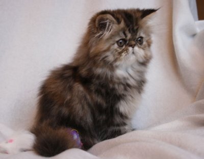 Or there?