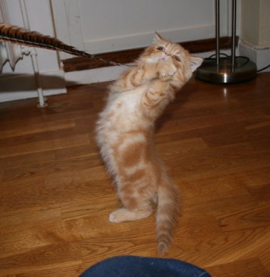 Applause please!