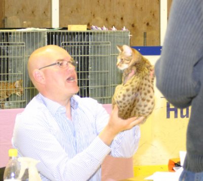 Glenn liked her, he put her as no. 2 of all the chocolatespotted ocicat