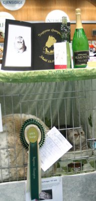 Smilla in her cage with some of the prizes