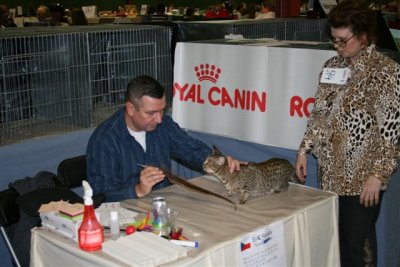 IC S*Junglespots Kahla JW with Eric Reijers, Camilla her onwer showing her at the table
