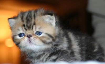 3 weeks and 2 days