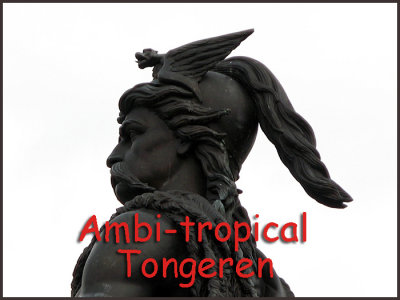 ambi_tropical5.jpg