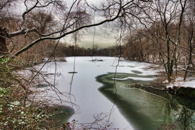 87 Larchmont Reservoir