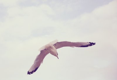 g1/95/303895/3/117671055.d6QYDqKn.jpg