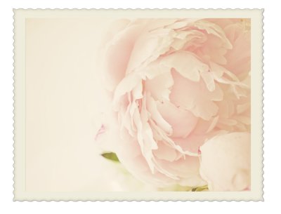 g1/95/303895/3/125765071.YCulOcfK.jpg