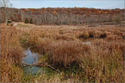 176, Pound Ridge Reservation
