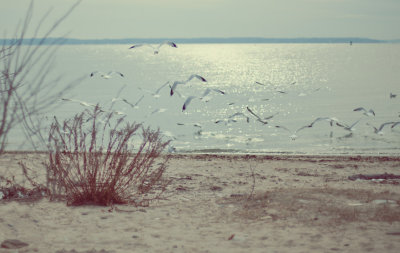 180, Long Island Sound, Rye