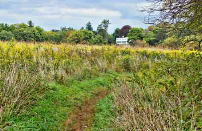 298, Marshlands Conservancy, Rye