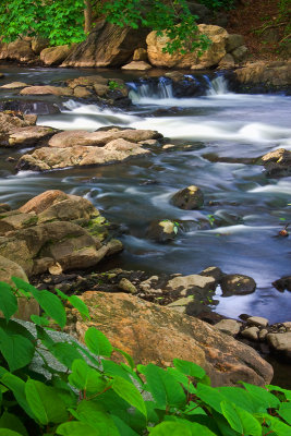 Mamaroneck River