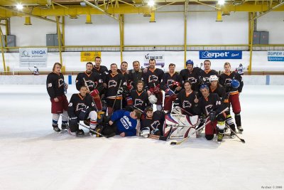 hockey_20081116