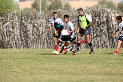 g1/95/344195/3/105924327.tmPiuqtz.jpg