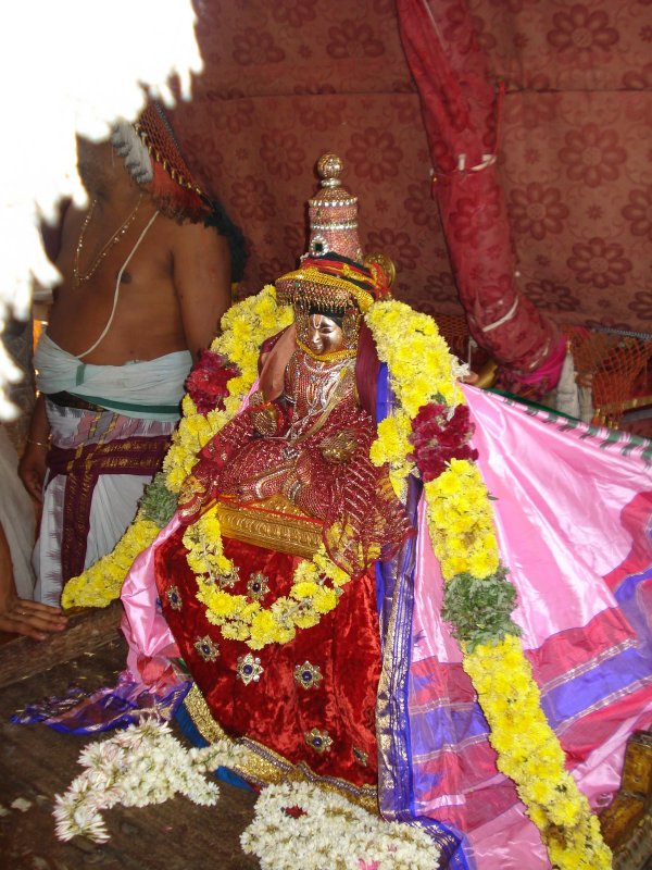 Desikar in Rathnangi thirukolam-side.JPG