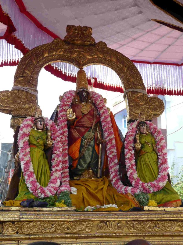 ParthAsarathi- davanOtsava purappadu1.jpg