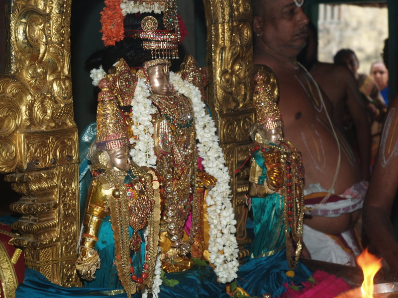 PA248227.JPG