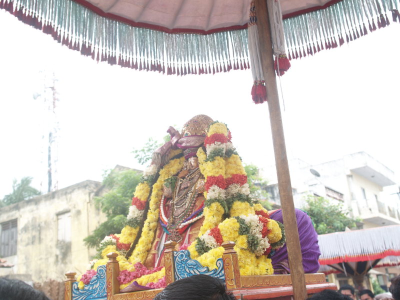 PA248230.JPG