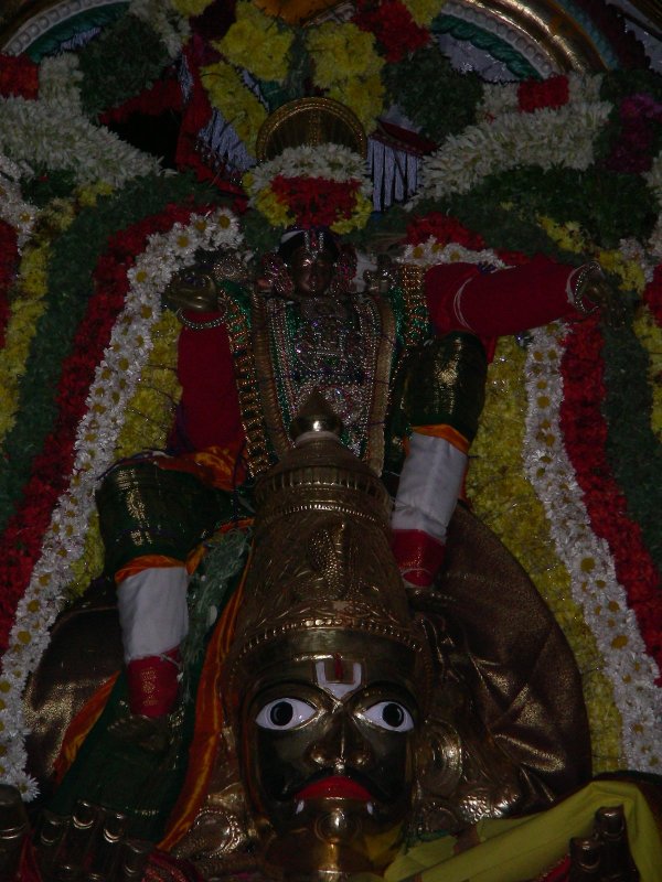 77-parthasarathy closeup.jpg